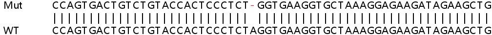 Sanger Sequencing - Human RAD23A (hHR23A) knockout HEK-293T cell line (AB266343), expandable thumbnail