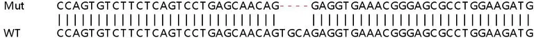 Sanger Sequencing - Human RARRES3 (TIG3) knockout A549 cell line (AB266967)