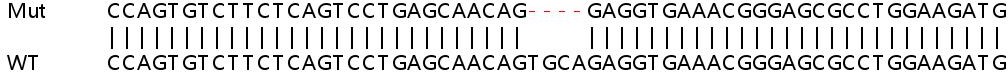 Sanger Sequencing - Human RARRES3 (TIG3) knockout A549 cell lysate (AB258625), expandable thumbnail