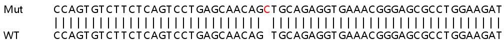 Sanger Sequencing - Human RARRES3 (TIG3) knockout A549 cell lysate (AB258625), expandable thumbnail
