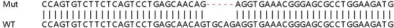Sanger Sequencing - Human RARRES3 (TIG3) knockout A549 cell lysate (AB258626)