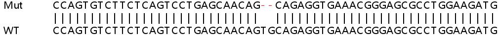 Sanger Sequencing - Human RARRES3 (TIG3) knockout A549 cell lysate (AB258626), expandable thumbnail