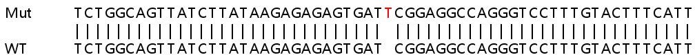 Sanger Sequencing - Human RASA1 knockout HeLa cell line (AB264773), expandable thumbnail