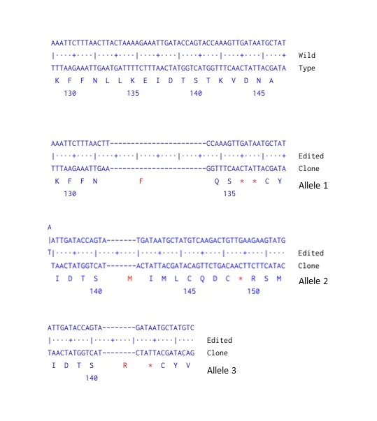 Next Generation Sequencing - Human RB1 knockout A549 cell line (AB286470)