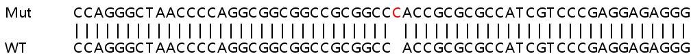 Sanger Sequencing - Human RCN1 (RCN) knockout HEK-293T cell lysate (AB258172), expandable thumbnail