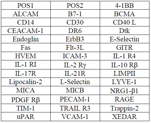 Multiplex Protein Detection - Human Receptor Antibody Array (40 Targets) - Quantitative (AB197455), expandable thumbnail