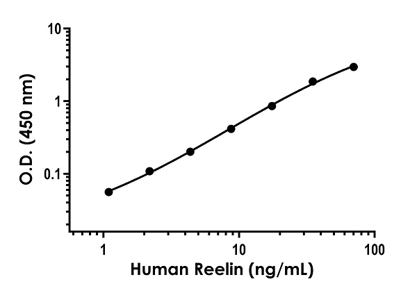 Sandwich ELISA - Human Reelin ELISA Kit (AB284620)