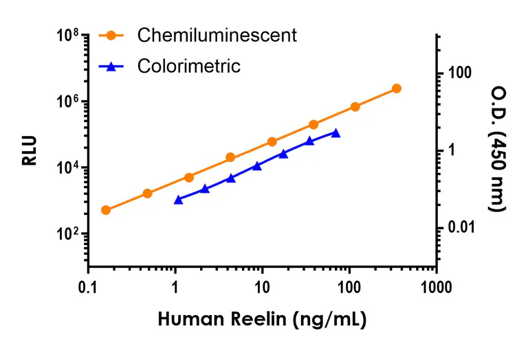 Sandwich ELISA - Human Reelin ELISA Kit, Chemiluminescent (AB326003)