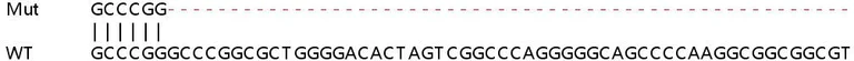 Sanger Sequencing - Human RELB (Rel B) knockout HeLa cell line (AB265948)