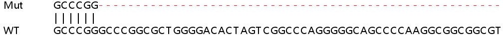 Sanger Sequencing - Human RELB (Rel B) knockout HeLa cell lysate (AB257635), expandable thumbnail