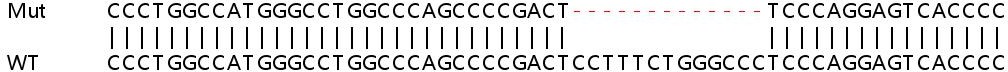 Sanger Sequencing - Human REPIN1 (AP4) knockout HEK-293T cell line (AB266363), expandable thumbnail