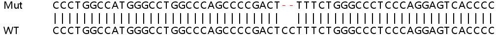 Sanger Sequencing - Human REPIN1 (AP4) knockout HEK-293T cell line (AB266363), expandable thumbnail