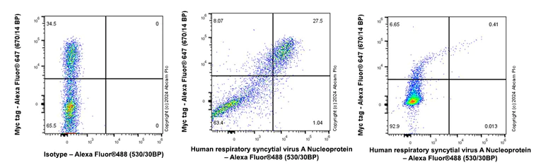 Flow Cytometry (Intracellular) - Anti-Human respiratory syncytial virus A Nucleoprotein antibody [EPR28656-26] - BSA and Azide free (AB316208)