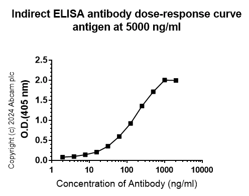 Indirect ELISA - Anti-Human respiratory syncytial virus A Nucleoprotein antibody [EPR28656-26] - BSA and Azide free (AB316208)