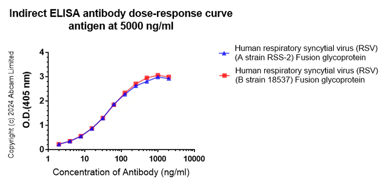 Indirect ELISA - Anti-Human respiratory syncytial virus Fusion (F) Glycoprotein antibody [11-3-A3] - BSA and Azide free (AB324814)