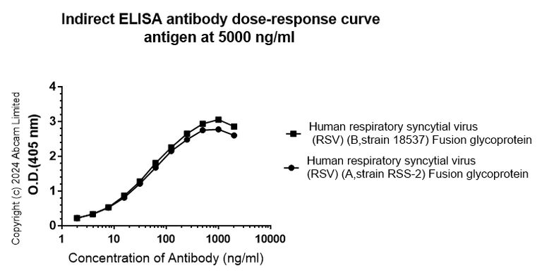 Indirect ELISA - Anti-Human respiratory syncytial virus Fusion (F) Glycoprotein antibody [11-6-F9] (AB322234)