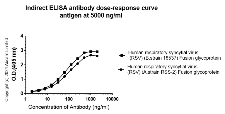 Indirect ELISA - Anti-Human respiratory syncytial virus Fusion (F) Glycoprotein antibody [4.15] - BSA and Azide free (AB324763)