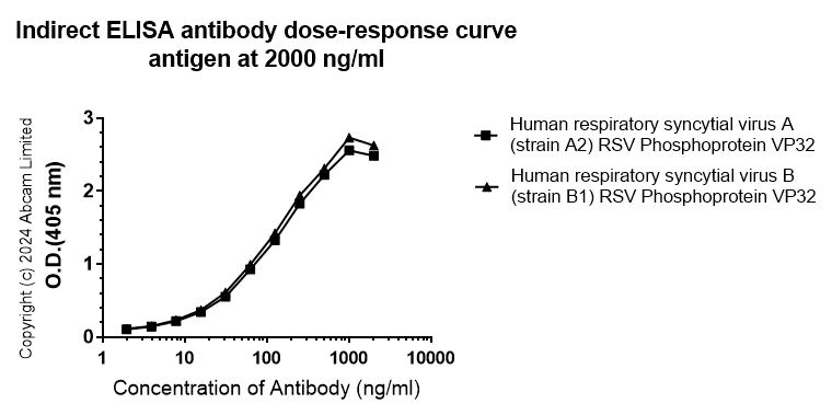Indirect ELISA - Anti-Human respiratory syncytial virus phosphoprotein VP32 antibody [3.5-18] - BSA and Azide free (AB324815)