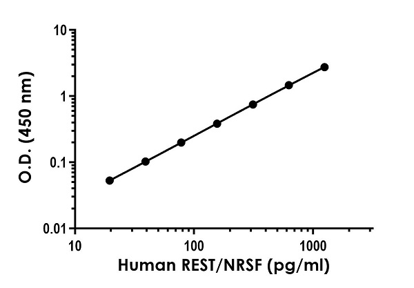 Sandwich ELISA - Human REST / NRSF ELISA Kit (AB284625), expandable thumbnail