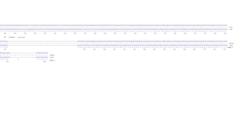 Next Generation Sequencing - Human RET knockout MCF7 cell line (AB286279)