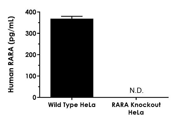 Sandwich ELISA - Human Retinoic Acid Receptor alpha ELISA Kit (RARA) (AB282877)