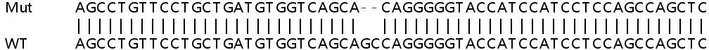 Sanger Sequencing - Human RFWD3 knockout HeLa cell line (AB265128), expandable thumbnail