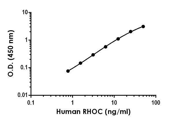 Human RHOC ELISA Kit