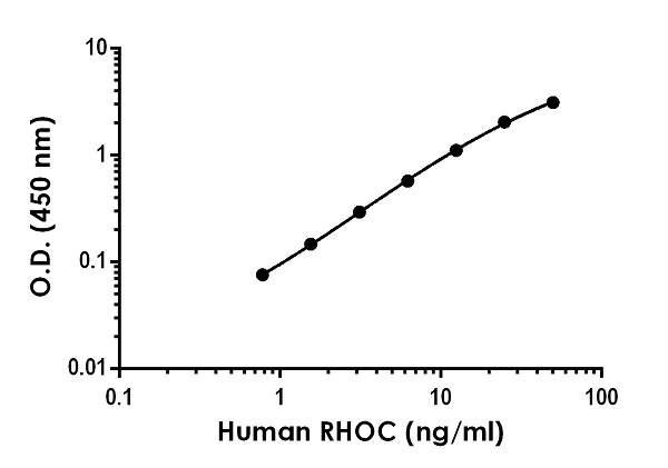 Sandwich ELISA - Human RHOC ELISA Kit (AB243680)