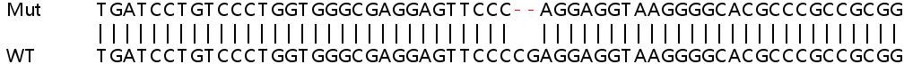Sanger Sequencing - Human RHOT2 (MIRO2) knockout HeLa cell line (AB265801), expandable thumbnail