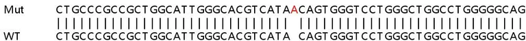 Sanger Sequencing - Human RIN1 knockout HeLa cell line (AB265507)