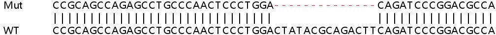 Sanger Sequencing - Human RMDN3 (PTPIP51) knockout HeLa cell line (AB265688), expandable thumbnail