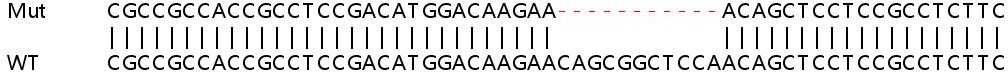 Sanger Sequencing - Human RNF10 knockout HEK-293T cell lysate (AB263329)