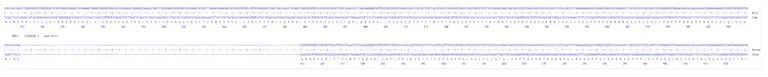 Sanger Sequencing - Human RNF31 Knockout A549 cell line (AB324216)