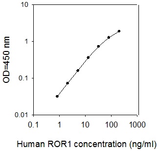 Sandwich ELISA - Human ROR1 ELISA Kit (AB267606)