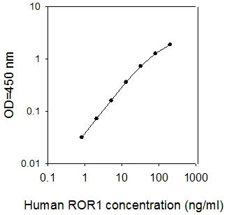 Sandwich ELISA - Human ROR1 ELISA Kit (AB267606)