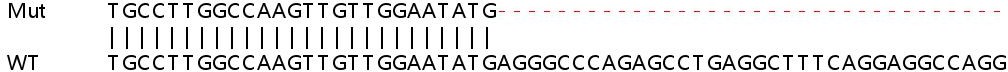 Sanger Sequencing - Human RORC (ROR gamma) knockout HeLa cell lysate (AB257644), expandable thumbnail