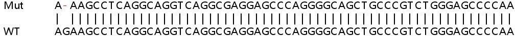 Sanger Sequencing - Human RORC (ROR gamma) knockout HeLa cell lysate (AB257644), expandable thumbnail