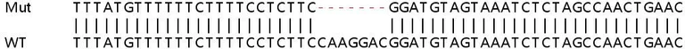Sanger Sequencing - Human RPS27L knockout HeLa cell lysate (AB263333)