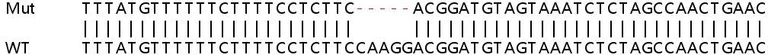 Sanger Sequencing - Human RPS27L knockout HeLa cell lysate (AB263333)