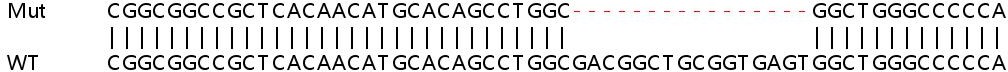 Sanger Sequencing - Human RQCD1 knockout HeLa cell lysate (AB263334), expandable thumbnail