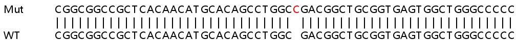 Sanger Sequencing - Human RQCD1 knockout HeLa cell lysate (AB263334), expandable thumbnail