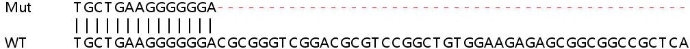 Sanger Sequencing - Human RQCD1 knockout HeLa cell lysate (AB263334), expandable thumbnail
