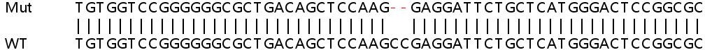Sanger Sequencing - Human RRAGC knockout HeLa cell lysate (AB258645), expandable thumbnail
