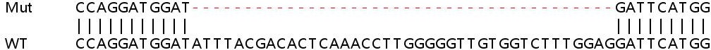 Human RRBP1 knockout HeLa cell lysate