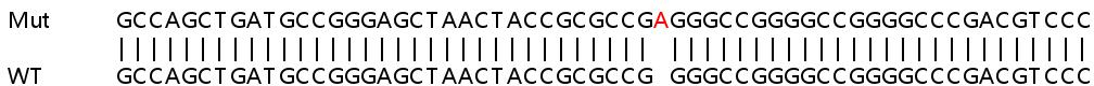Sanger Sequencing - Human RRP36 knockout HeLa cell line (AB266019), expandable thumbnail