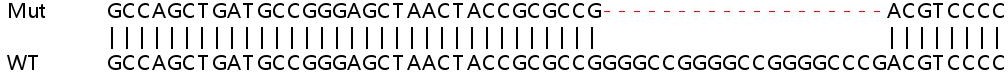 Sanger Sequencing - Human RRP36 knockout HeLa cell line (AB266019), expandable thumbnail