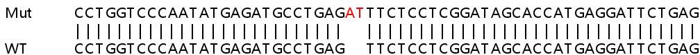 Sanger Sequencing - Human RTP4 knockout A549 cell line (AB267114), expandable thumbnail