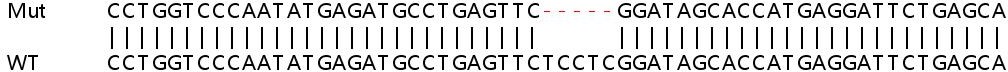 Sanger Sequencing - Human RTP4 knockout A549 cell lysate (AB259094)
