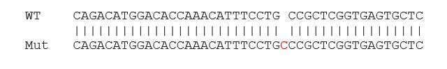 Sanger Sequencing - Human RXRA knockout HCT116 cell line (AB273708), expandable thumbnail