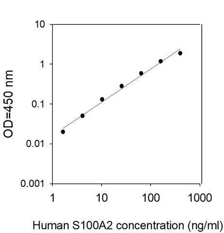 Sandwich ELISA - Human S100 alpha 2/S100A2 ELISA Kit (AB314383)